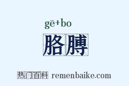 胳膊是什么意思的图片